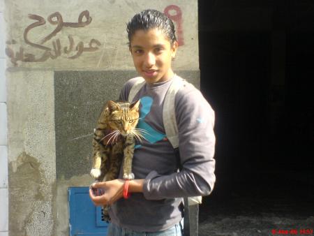 chouaib